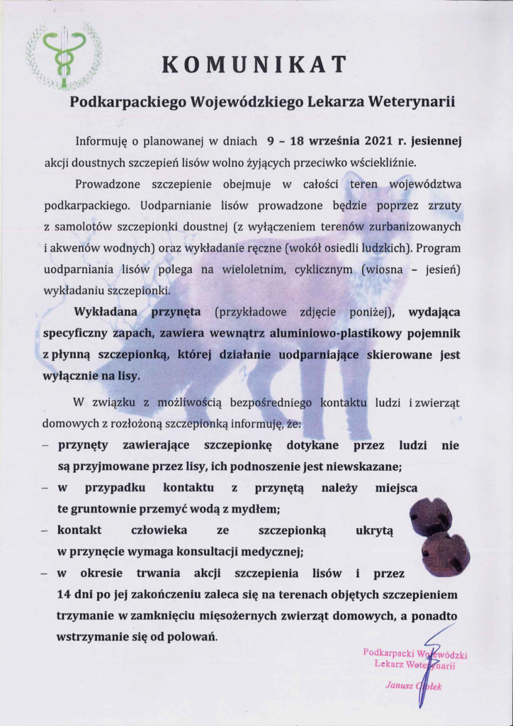 Komunikat Podkarpackiego Lekarza Weterynarii o wyłożeniu szczepionki przeciw wściekliźnie dla lisów wolnożyjących