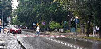 Ulica 3-go Maja w Jaśle , przechodząca kobieta przez nowe interaktywne przejście dla pieszych