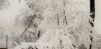 Zima w parku miejskim, zasypana śniegiem ławka i drzewa.
